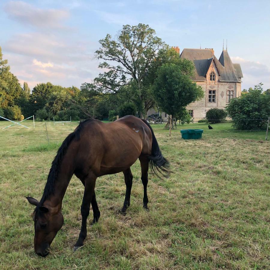 Willa Manoir De La Chouanniere Montreuil-sur-Maine Zewnętrze zdjęcie